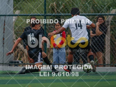 Detalhes da foto #6599536