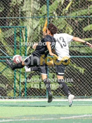 Detalhes da foto #26595