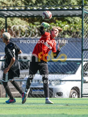 Detalhes da foto #81180