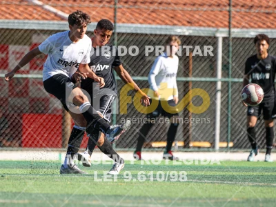 Detalhes da foto #42195