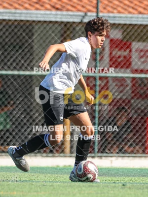 Detalhes da foto #52509