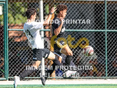 Detalhes da foto #285911