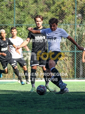 Detalhes da foto #14254