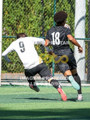 Detalhes da foto #92757