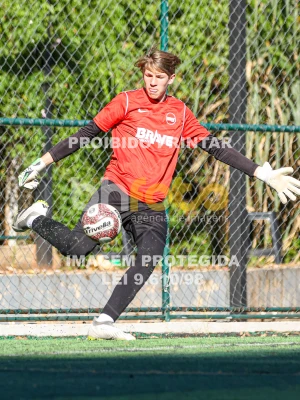 Detalhes da foto #98286