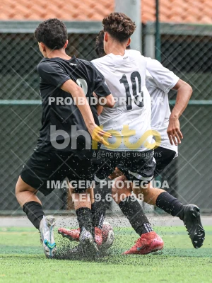 Detalhes da foto #92241