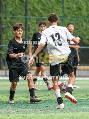 Detalhes da foto #99804