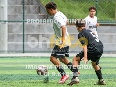 Detalhes da foto #81614