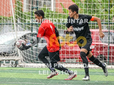 Detalhes da foto #23333