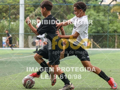 Detalhes da foto #85669