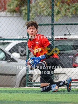 Detalhes da foto #64688