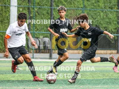 Detalhes da foto #99788