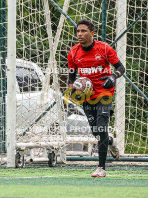 Detalhes da foto #58415