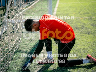 Detalhes da foto #4211240