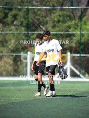 Detalhes da foto #8404980