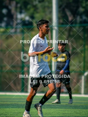 Detalhes da foto #9965704
