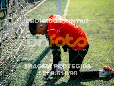 Detalhes da foto #4858988