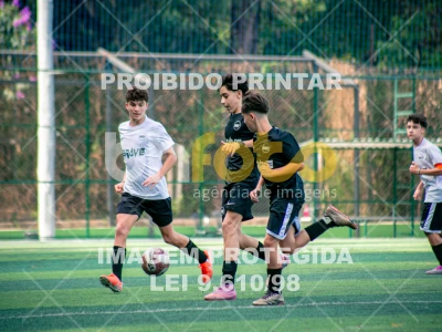 Detalhes da foto #8285724