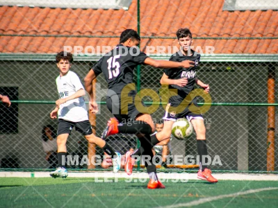 Detalhes da foto #7442155