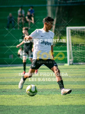 Detalhes da foto #1556583