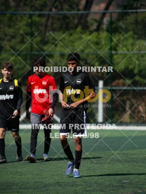 Detalhes da foto #3513357