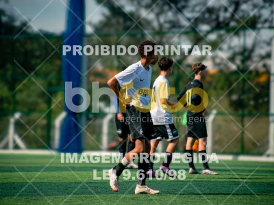 Detalhes da foto #6555269