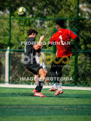 Detalhes da foto #4639779
