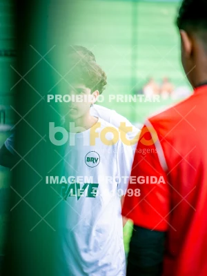 Detalhes da foto #3314116