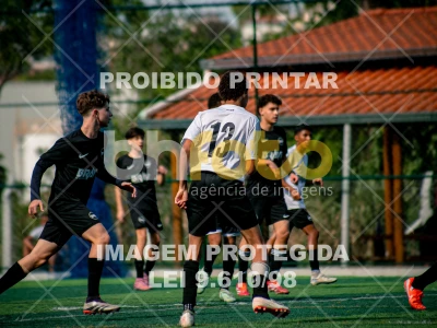 Detalhes da foto #3964073