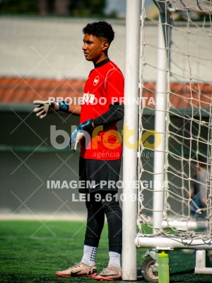 Detalhes da foto #1639594