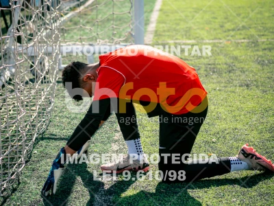 Detalhes da foto #3268403