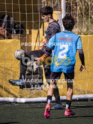 Detalhes da foto #8382225