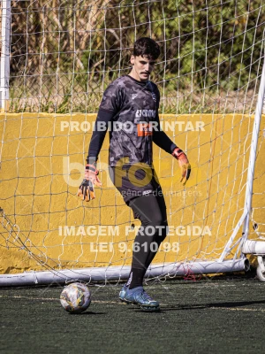 Detalhes da foto #3288282