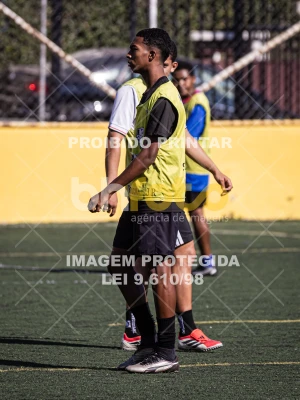 Detalhes da foto #3339805