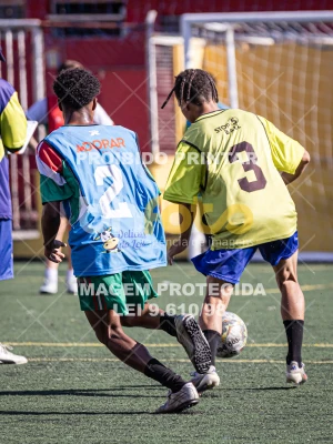 Detalhes da foto #8929146