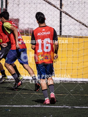 Detalhes da foto #1385577