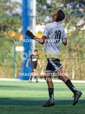 Detalhes da foto #8587849