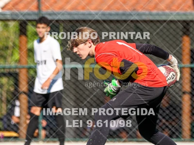 Detalhes da foto #3643141