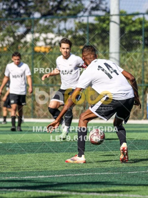 Detalhes da foto #4000759
