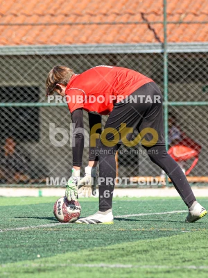 Detalhes da foto #3684152