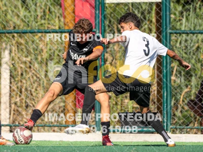 Detalhes da foto #7932146