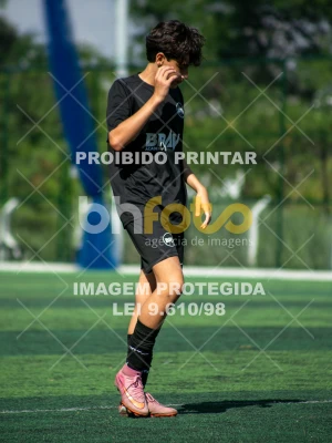 Detalhes da foto #4111143