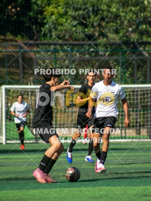 Detalhes da foto #6686136