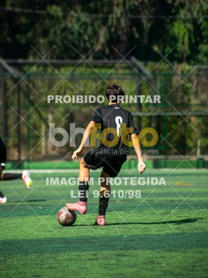 Detalhes da foto #4239904
