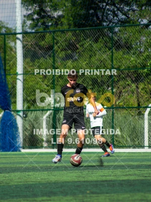 Detalhes da foto #1082963