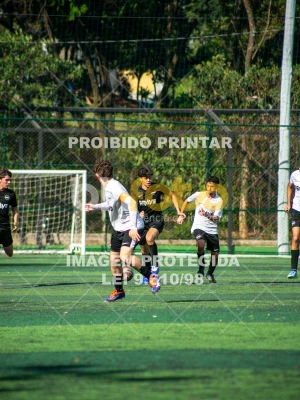 Detalhes da foto #8528641