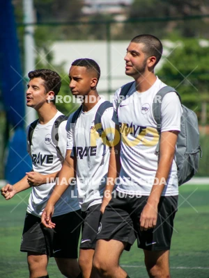 Detalhes da foto #8634076