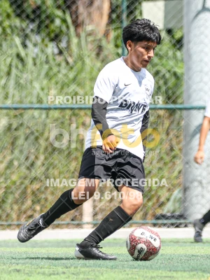 Detalhes da foto #80456