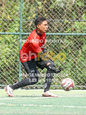 Detalhes da foto #96440