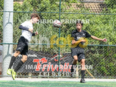 Detalhes da foto #19250